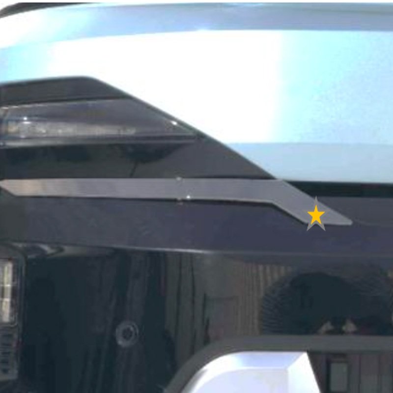 Fog Lamp Chrome