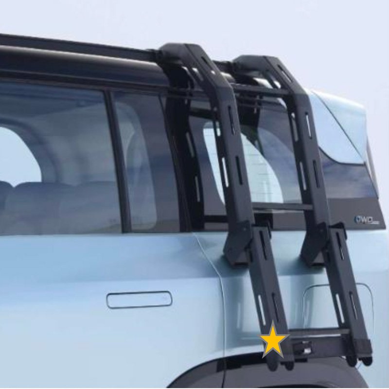 Ladder (without roof carrier)