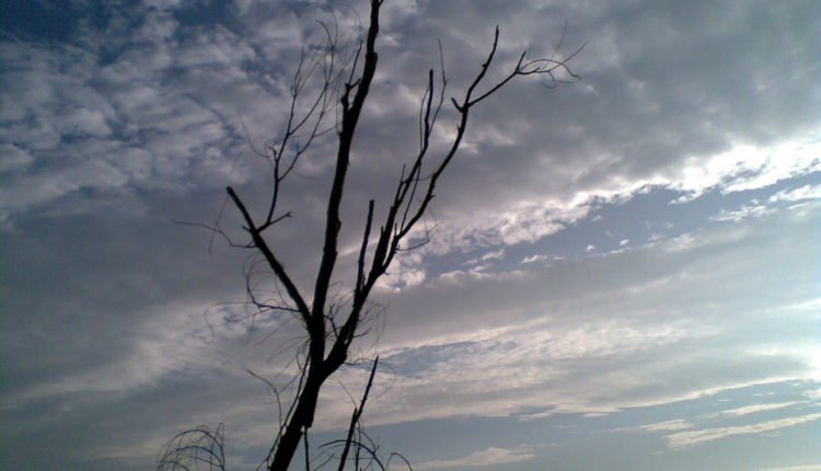 Lonely in the sky - The Sahiyadris